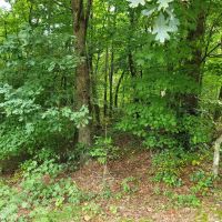 2.1 - Acres Unrestricted RV s Tiny Home Cabin Ok images 4