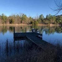Ozark Mountain Farm in Harrison Arkansas for Sale images 4