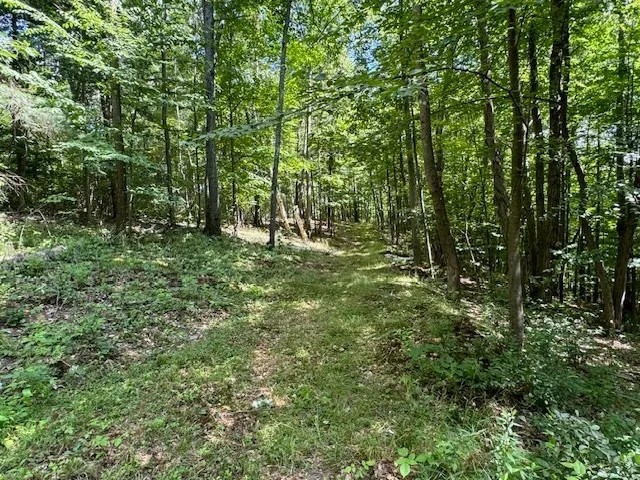 14 acre Building Lot and Recreational Land in Big Flats NY Monastery Rd featured image