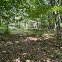 14 acre Building Lot and Recreational Land in Big Flats NY Monastery Rd images 2