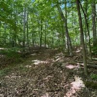14 acre Building Lot and Recreational Land in Big Flats NY Monastery Rd images 3