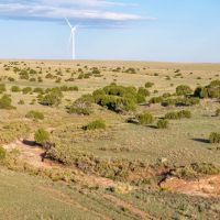 L6 Cattle Ranch images 4