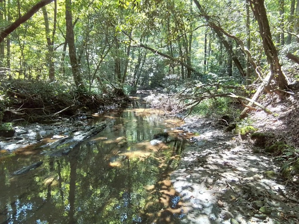 24.6 - Ac Creekfront Unrestricted Flat Ridge with Views featured image