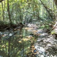 24.6 - Ac Creekfront Unrestricted Flat Ridge with Views