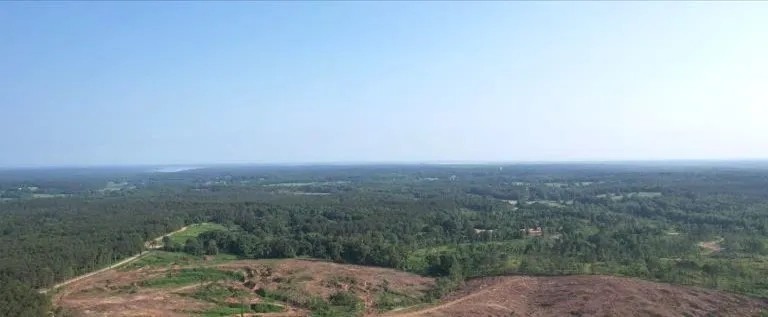 57.4 Acres in Lafayette County in Oxford MS featured image