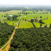 Johnny Tate Road images 4