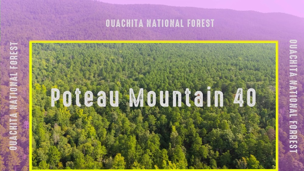 Poteau Mountain 40 featured image
