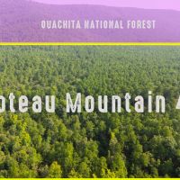 Poteau Mountain 40