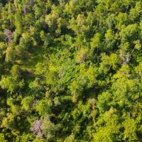 Poteau Mountain 40 images 3