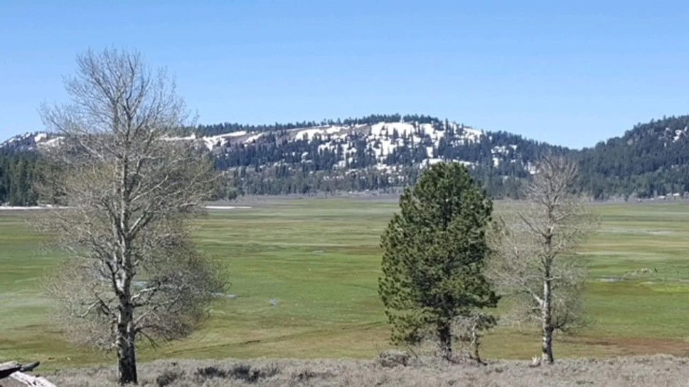 Twenty Mile Ranch featured image