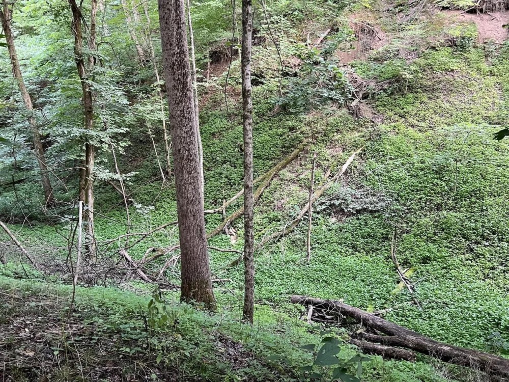 Route 136 Allegheny County - featured image