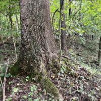 Route 136 Allegheny County - images 4