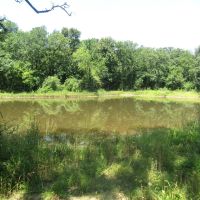 Golden Dove Road Recreational Hunting Escape McCurtain County OK 40 AC images 3