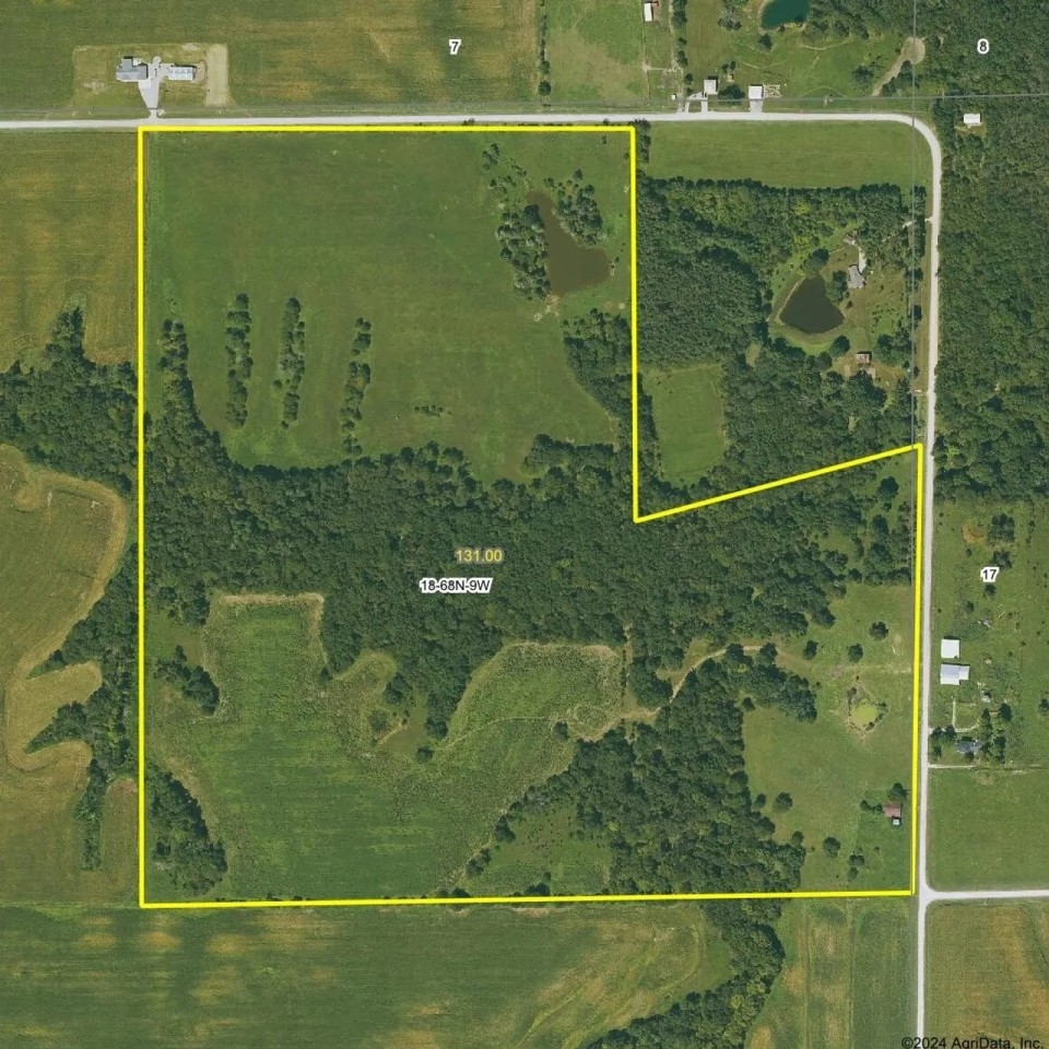 131 acres m l Van Buren County featured image