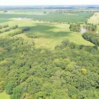 131 acres m l Van Buren County images 3