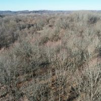 Florence Ave. Washington County - 16 acres images 3