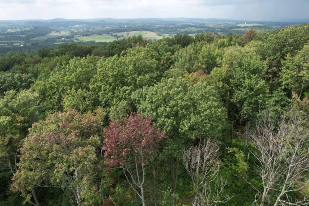 Route 982- Latrobe- 47.9 Acres featured image