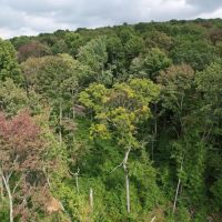 Route 982- Latrobe- 47.9 Acres images 2