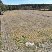 ONLINE AUCTION - 7.66 acre Land for Sale in Hyde County NC images 4