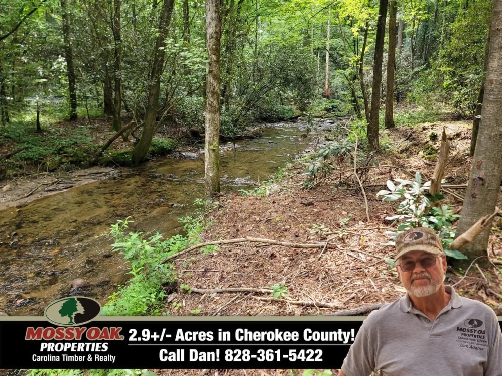 2.9 - Unrestricted Creek Front Acres featured image