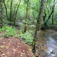 2.9 - Unrestricted Creek Front Acres images 2