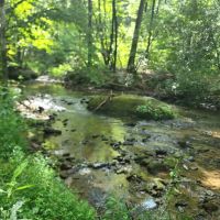 2.9 - Unrestricted Creek Front Acres images 4