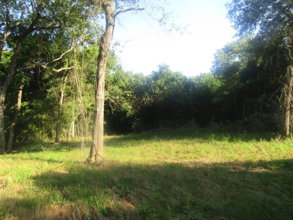 Recreational Hunting Paradise Grant Choctaw County OK 40 AC featured image