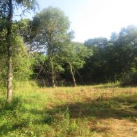 Recreational Hunting Paradise Grant Choctaw County OK 40 AC images 2