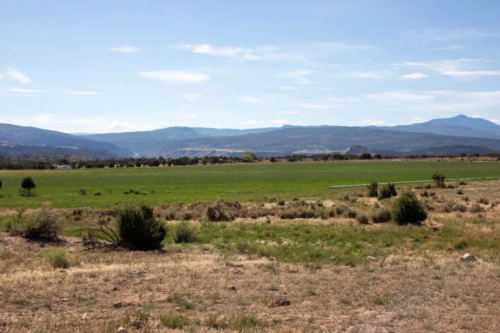 Heritage Tract 13 featured image