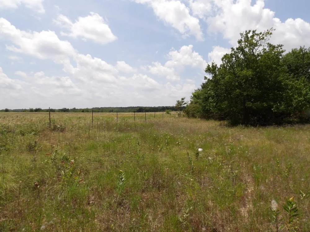 SMALL ACREAGE BIG BUCKS featured image