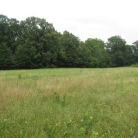 Recreational Hunting Mecca Close To Hugo Dam Kiamichi River Choctaw County OK 9 AC images 2