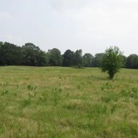 Recreational Hunting Mecca Close To Hugo Dam Kiamichi River Choctaw County OK 9 AC images 3