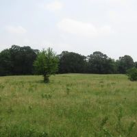 Recreational Hunting Mecca Close To Hugo Dam Kiamichi River Choctaw County OK 9 AC images 5