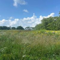 77 acres m l Van Buren County images 2