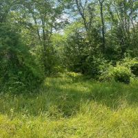 77 acres m l Van Buren County images 3