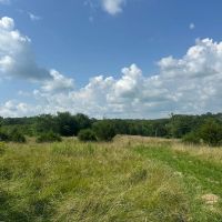77 acres m l Van Buren County images 4
