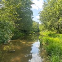 77 acres m l Van Buren County images 5