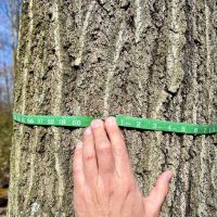 Mudlick Hollow Rd. Beaver County - 68 acres images 4
