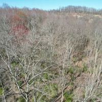 Mudlick Hollow Rd. Beaver County - 68 acres images 5