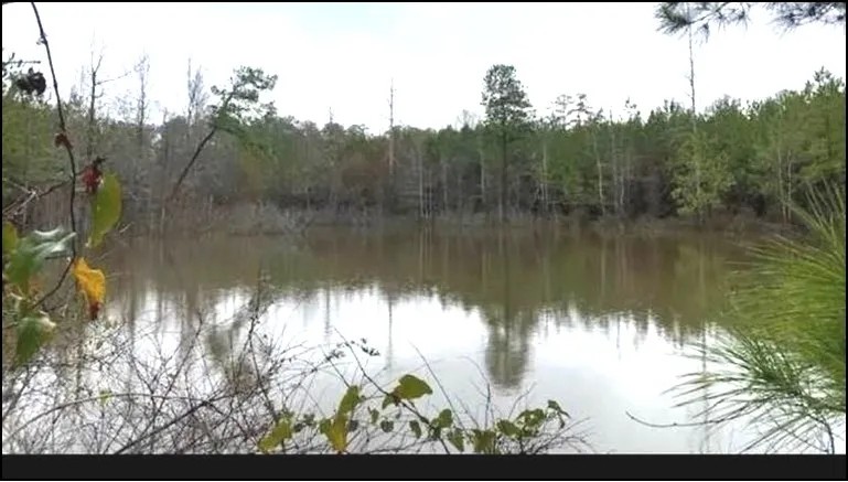 15.6 Acres in Lincoln County in Brookhaven MS featured image