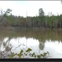 15.6 Acres in Lincoln County in Brookhaven MS