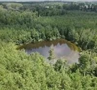 15.6 Acres in Lincoln County in Brookhaven MS images 2