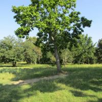 ROLLING HILL RANCHES DEVELOPMENT PHASE 2 Choctaw County OK LOT 4 30 AC images 2
