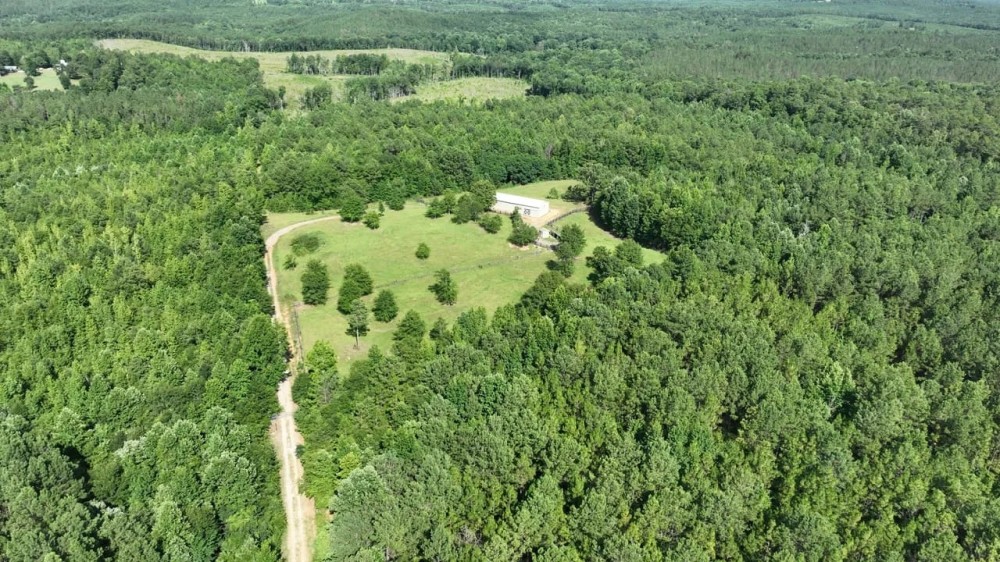 38 Acre Farm in Verbena featured image