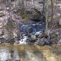 Affordable Ozark County Hunting Acreage images 4