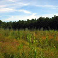 Nicholas Farm WMA - 1,429 acres of land for Deer hunting in Kent, RI