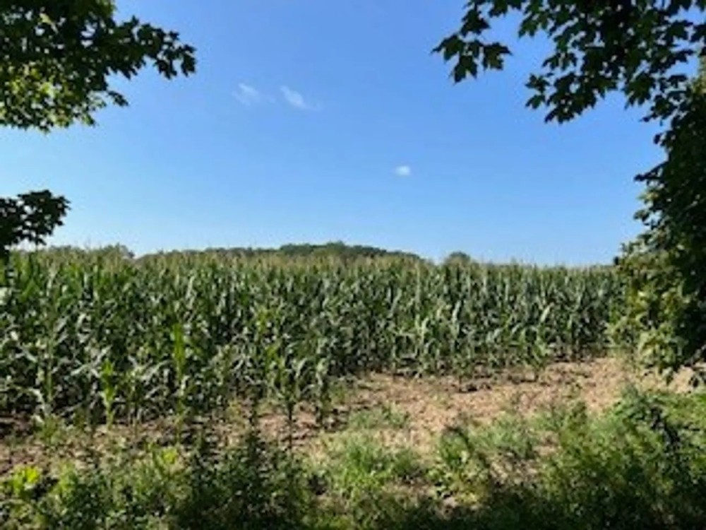 Tillable Land For Sale in Parke County IN 25 Acres - featured image