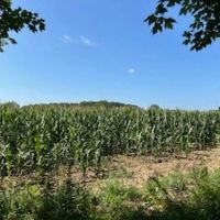 Tillable Land For Sale in Parke County IN 25 Acres -