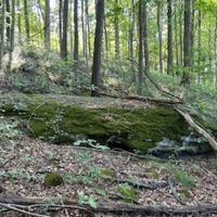 Tillable Land For Sale in Parke County IN 25 Acres - images 3