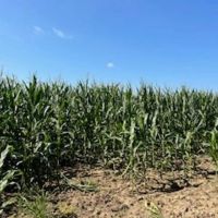 Tillable Land For Sale in Parke County IN 25 Acres - images 4